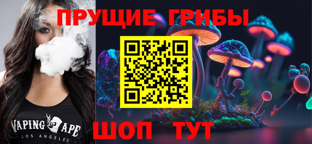 Галлюциногенные грибы Cubensis Минусинск