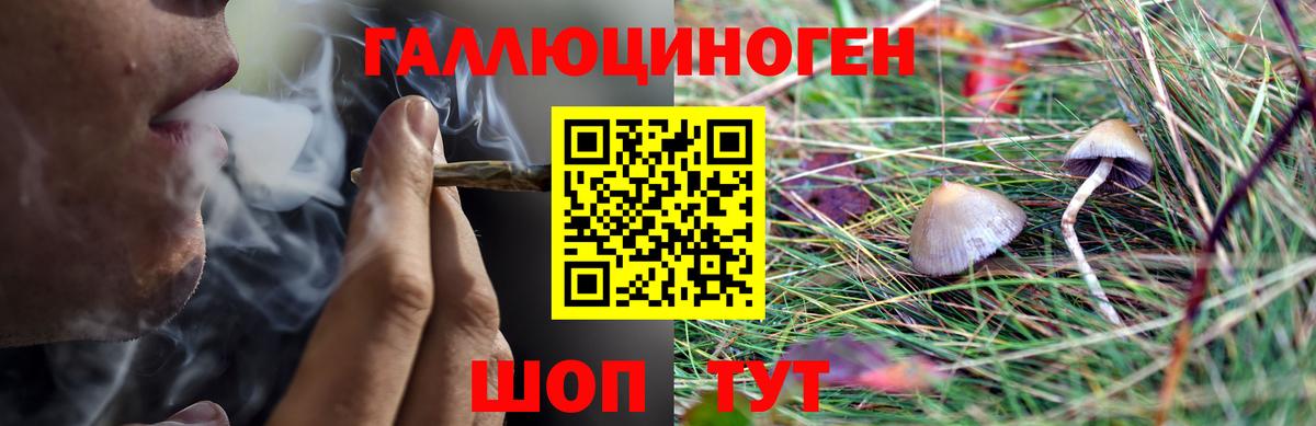 Псилоцибиновые грибы прущие грибы  Вход с VPN  Галлюциногенные грибы мухоморы  Минусинск 